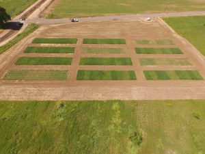 Field Image1
