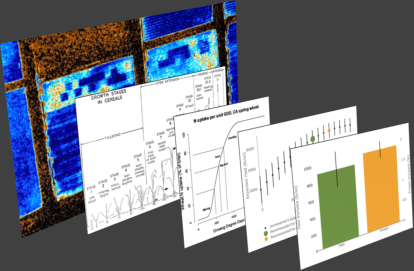 sequence of images illustrating extraction of information from an image via agronomic models