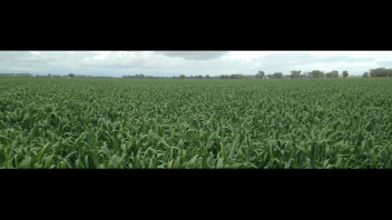 Sustainable Intensification