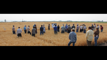 Applied Research and Extension