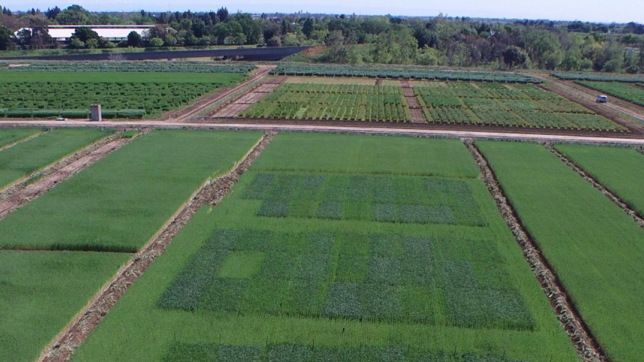 Home Primary Image