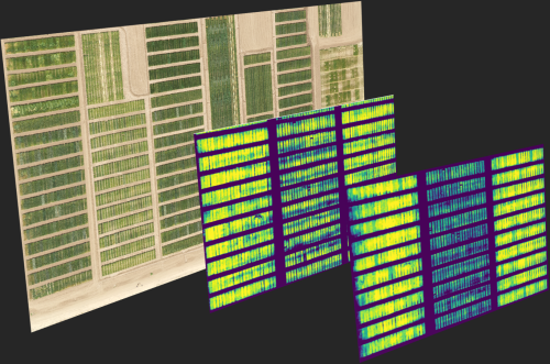 layered images of field trial in color and false color images